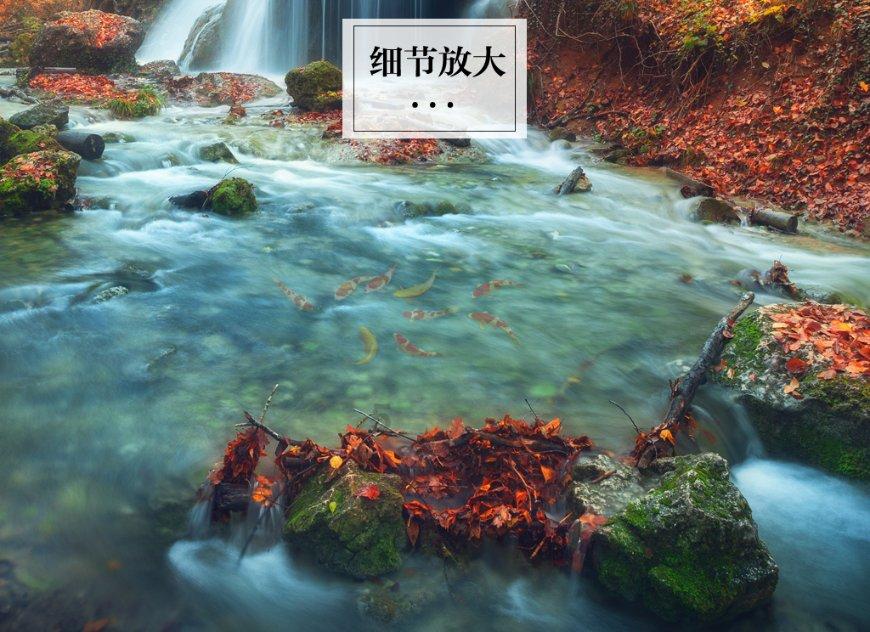 创新之苗向阳生